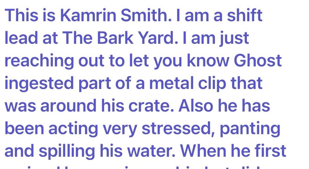 The Bark Yard - pet boarding facility in South Portland, ME