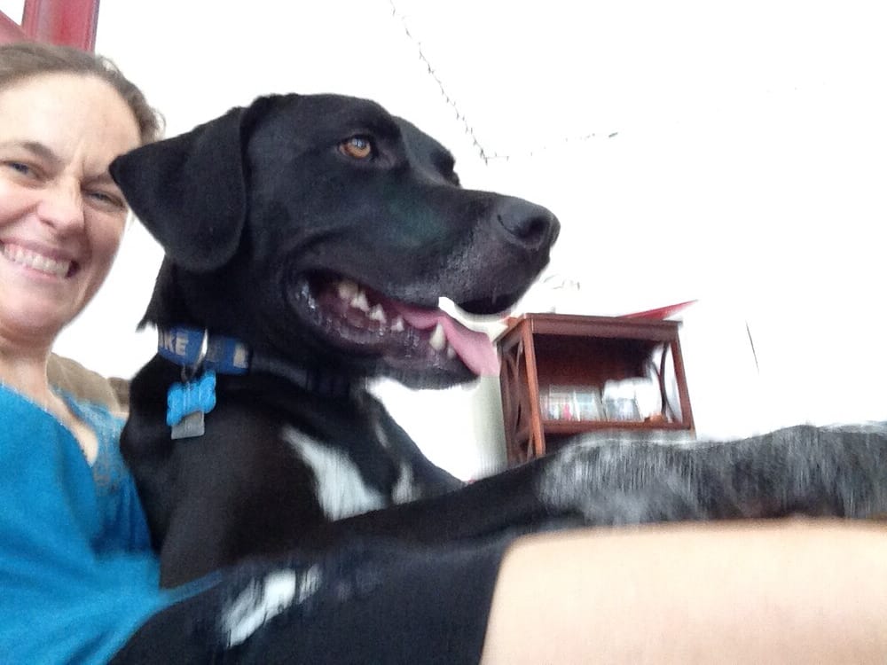 NOTHIN’ BUT LUV PET SERVICES Updated September 2024 11 Photos & 10