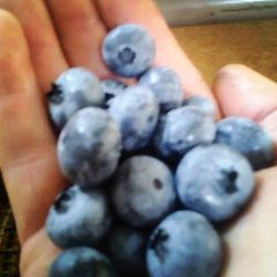 Smith's Blueberries
