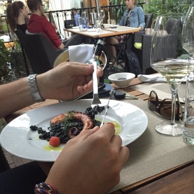 Zelená Zahrada by null