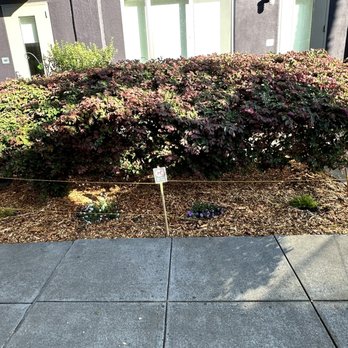 M & M Tree Service - More garden beds - Tree Services Near Me - Richmond, California