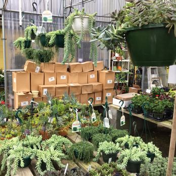 Perdue's Flowers - Nurseries & Gardening Near Me - Pensacola, Florida