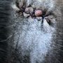 Photo of J Tails