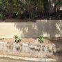 Rivas Concrete And House Remodeling