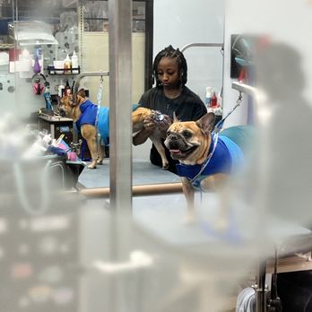 PetSmart - Pet Stores Near Me - Stafford, Virginia