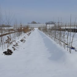 Possibility Place Nursery - Snow in our fields