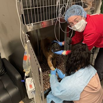 VEG ER for Pets - The beautiful staff - Emergency Pet Hospital Near Me - Paramus, New Jersey