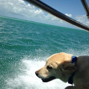 Capt Sheri's Wild About Dolphins - Captain Maya :) - Tours Near Me - Key West, Florida Capt Sheri's Wild About Dolphins - Captain Maya :) - Tours Near Me - Key West, Florida
