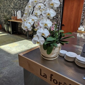 La Forêt - Flowers! - Coffee & Tea Near Me - Burnaby, British Columbia La Forêt - Flowers! - Coffee & Tea Near Me - Burnaby, British Columbia