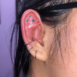fresh triple flats w peacock opals & conch w hoop fresh triple flats w peacock opals & conch w hoop