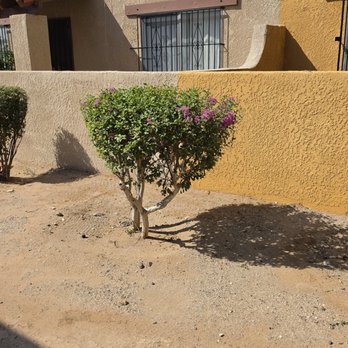 Desert Canyon Landscaping - Irrigation Near Me