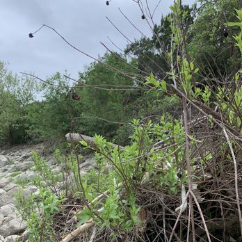 Barton Creek Greenbelt - Parks Near Me - Austin, Texas Barton Creek Greenbelt - Parks Near Me - Austin, Texas