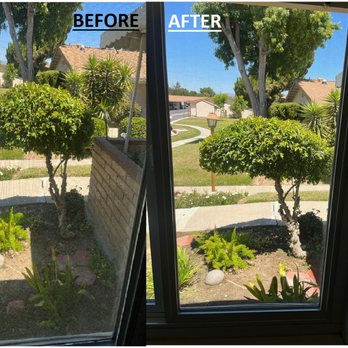 Dale's Maintenance Window Cleaning - Make your home brighter! Clean windows make everything look better! Call today for your professional window cleaning. - Window Washing Near Me Dale's Maintenance Window Cleaning - Make your home brighter! Clean windows make everything look better! Call today for your professional window cleaning. - Window Washing Near Me