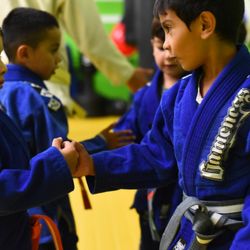 Kids BJJ Brazilian JIu Jitsu Westchester Greenwich Stamford