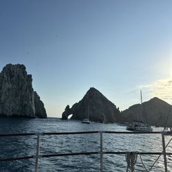 Wild Cabo Tours