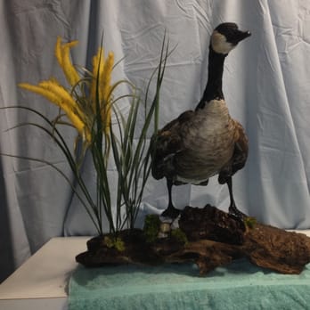 Skin Em All Taxidermy - Taxidermy Near Me Skin Em All Taxidermy - Taxidermy Near Me