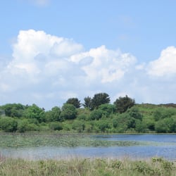 Llyn Llech Owain Country Park - Llyn Llech Owain Country Park, Carmarthenshire