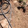 Photo of Shelly Landscaping