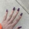 The Nail Place gift card