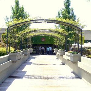 J Vineyards & Winery on Yelp