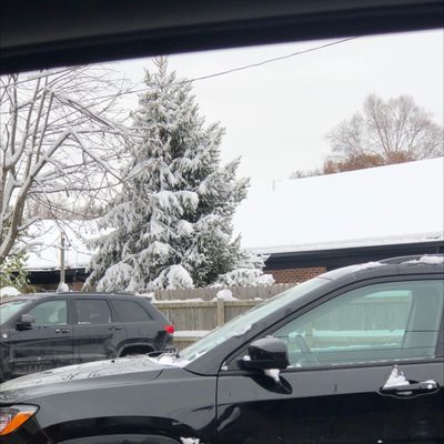 Belleville Pancake House by null