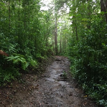 Pu'u Pia Trail - Hiking Near Me - Honolulu, Hawaii