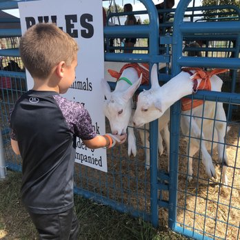 Lark Ranch - Feeding the farm animal! - Ranches Near Me - Greenfield, Indiana