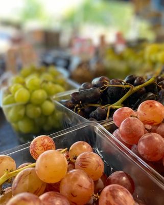 Farmers market in Kirkwood by null