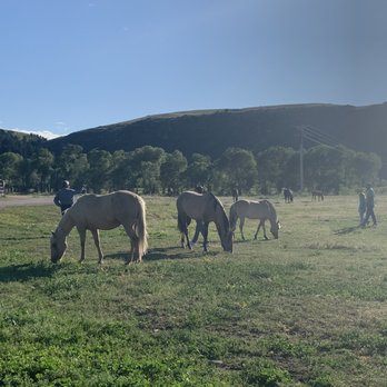 Ranches At Belt Creek - Very healthy & happy horses - Resorts Near Me - Belt, Montana