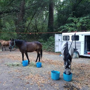 Five Brooks Camp - Highline posts throughout the campground - Campgrounds Near Me - Olema, California