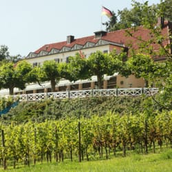 Blick auf die Terrasse vom Weinberg aus
