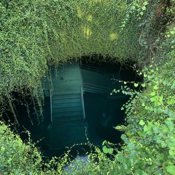 Devil's Den Prehistoric Spring - Scuba Diving Near Me - Williston, Florida Devil's Den Prehistoric Spring - Scuba Diving Near Me - Williston, Florida