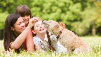 Suburban K9 Dog Training - pet boarding facility in Fishers, IN