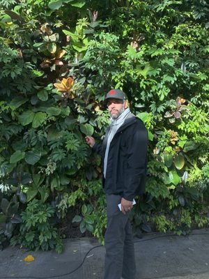 Royal Botanical Gardens by null