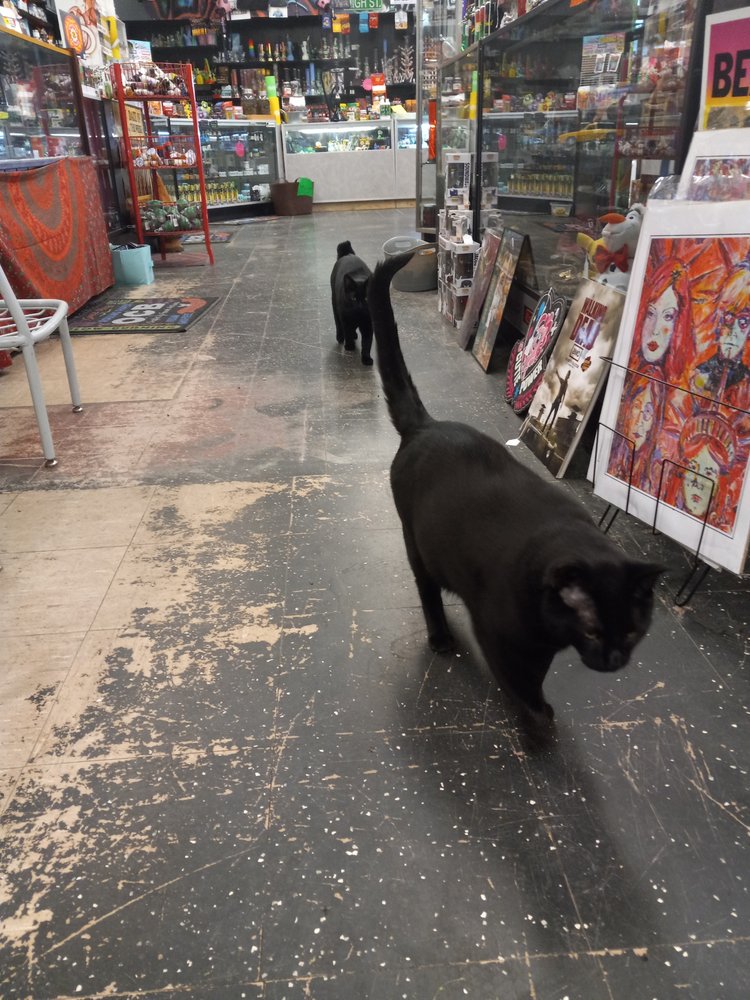 GRAFITTI SMOKE & VAPE Updated October 2024 13 Prospect St, Moosup