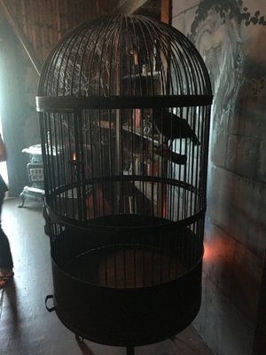 Munster Mansion by null