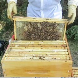 Hiveworld.ca