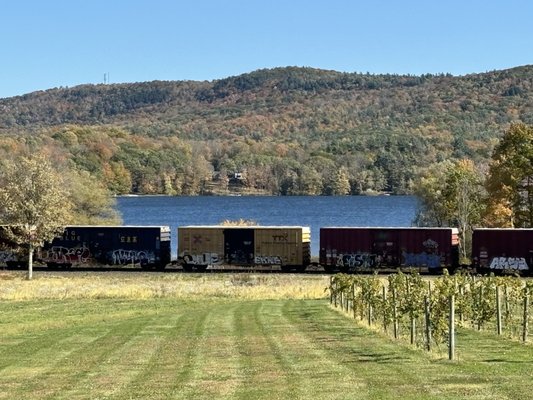 Balderdash Cellars by null