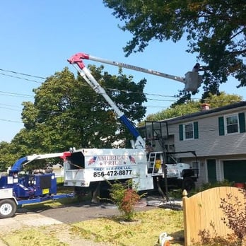 American Pride Tree Service - Tree Services Near Me American Pride Tree Service - Tree Services Near Me