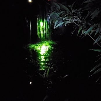 Bamboo Giant Nursery and Gardens - Illuminated enchanted bamboo forest walk-through event - Nurseries & Gardening Near Me - Aptos, California Bamboo Giant Nursery and Gardens - Illuminated enchanted bamboo forest walk-through event - Nurseries & Gardening Near Me - Aptos, California