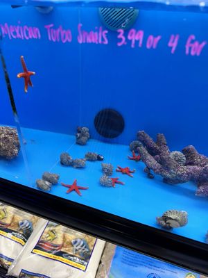 LAX Aquarium by null