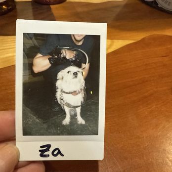 Appalachian Mountain Brewery - Our dog for their "Paw of Fame". - Bars Near Me - Boone, North Carolina