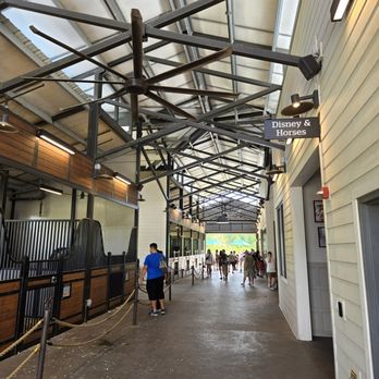 Tri-Circle-D Ranch - Horseback Riding Near Me - Orlando, Florida