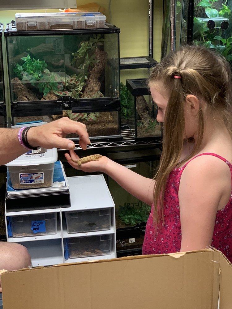 AQUARIUMS BY JJ Updated September 2024 24 Photos 55 Main St