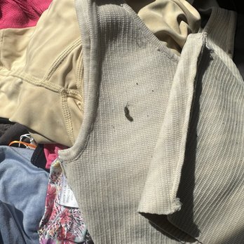 Ice House Lofts - Rat feces on my clean clothes - Apartments Near Me - Decatur, Georgia Ice House Lofts - Rat feces on my clean clothes - Apartments Near Me - Decatur, Georgia