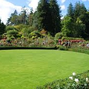 Mt Tam Gardener - a circular lawn surrounded by flowers - Landscaping Near Me