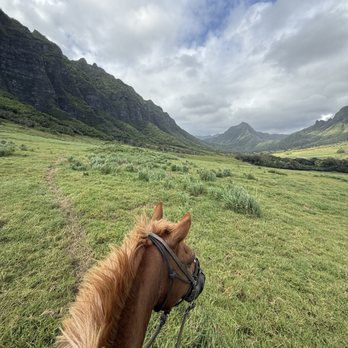 Kualoa Ranch - Tours Near Me - Kaneohe, Hawaii