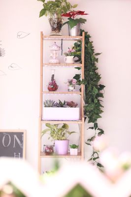 Sweet Cats Cafe by null