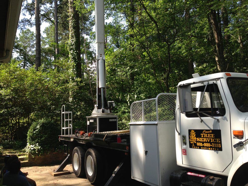 Couch Tree Service - tree service in Pearl, MS