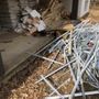 Photo of Junk Away